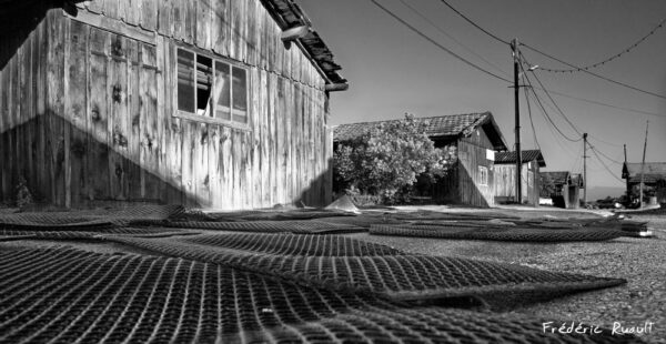 Photo perso texte test